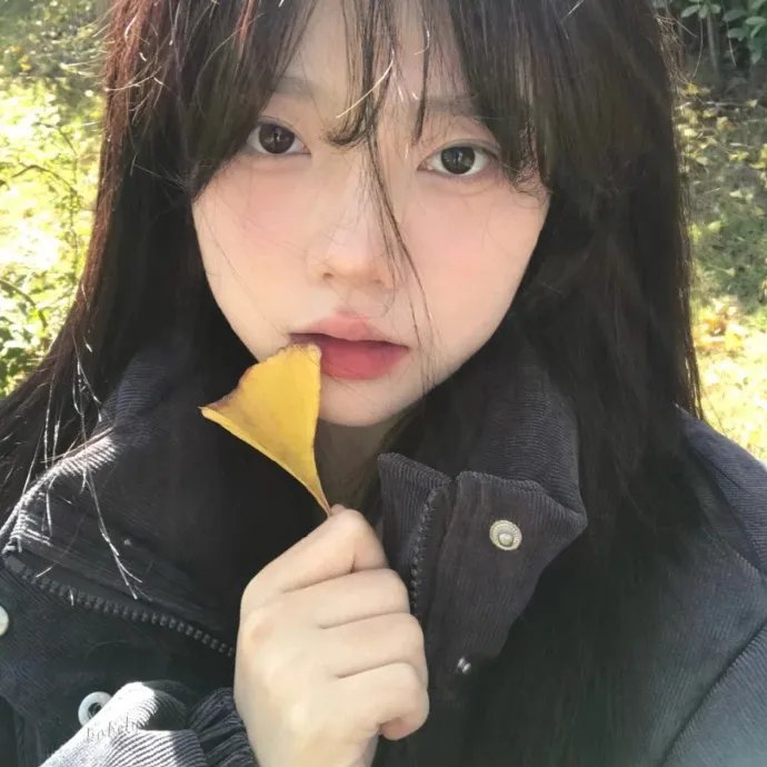 边境音暴